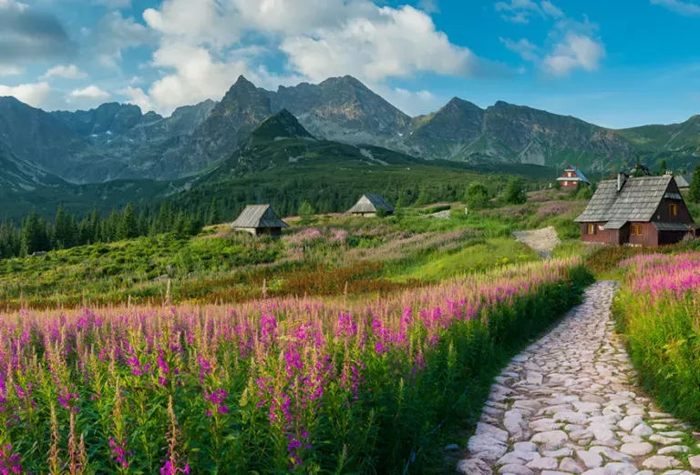 R32 soğutucu akışkan